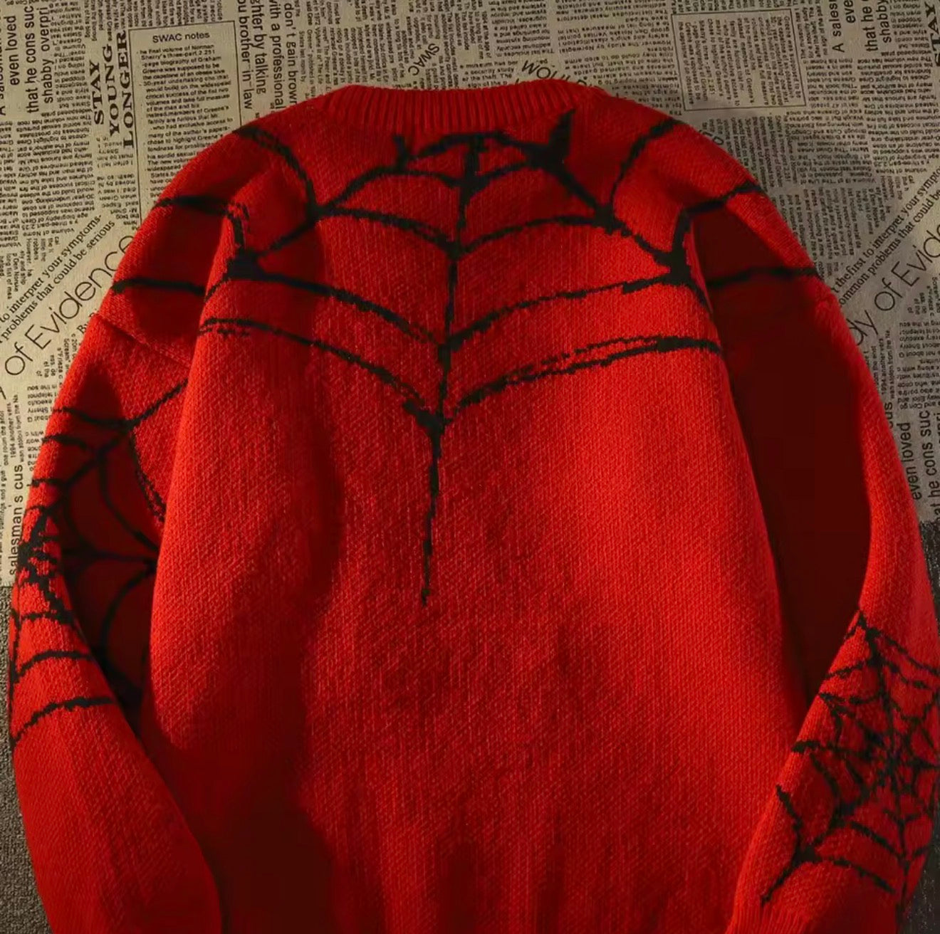 Streetwear Spider Sweatshirt